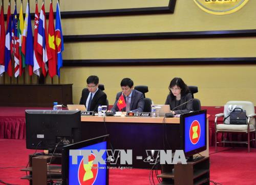 越南共同主持召开第18次东盟印度联合合作委员会会议 ảnh 1