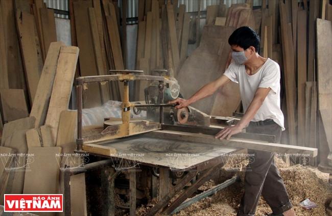 安楚—河内新农村建设的亮点 ảnh 6 安楚—河内新农村建设的亮点 ảnh 6