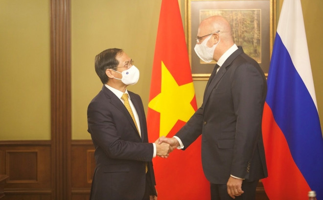 越南外交部长裴青山会见俄罗斯副总理车尔尼申科 ảnh 1 越南外交部长裴青山会见俄罗斯副总理车尔尼申科 ảnh 1