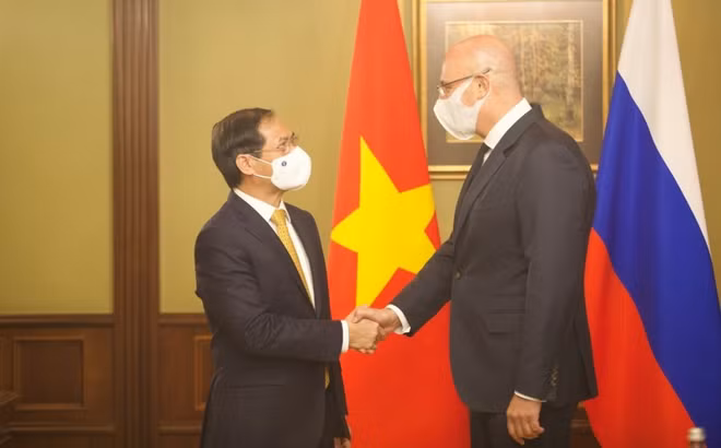 越南外交部长裴青山会见俄罗斯副总理车尔尼申科 ảnh 1