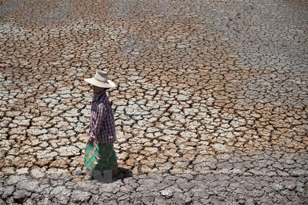越南国家主席阮春福在联合国大会第76届会议一般辩论上的讲话(全文) ảnh 3 越南国家主席阮春福在联合国大会第76届会议一般辩论上的讲话(全文) ảnh 3