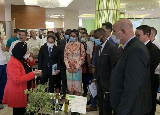 越南代表团在国际研讨会上分享创业经验 ảnh 1 越南代表团在国际研讨会上分享创业经验 ảnh 1