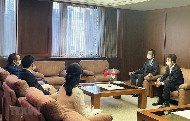 多家日本企业拟扩大对越南的投资力度 ảnh 1