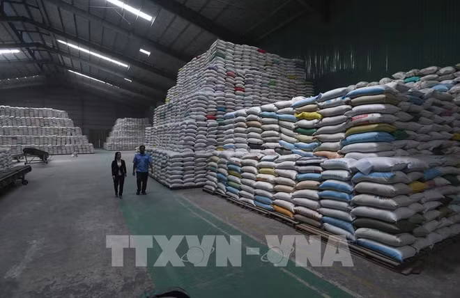 继续向胡志明市发放逾56555吨大米援助受疫情影响的民众 ảnh 1