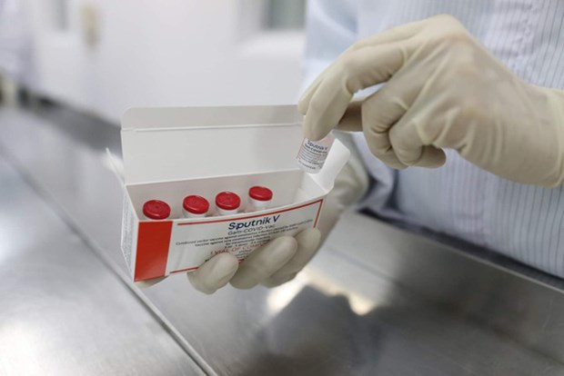 越南成功将Sputnik V疫苗半成品加工成制成品 ảnh 1