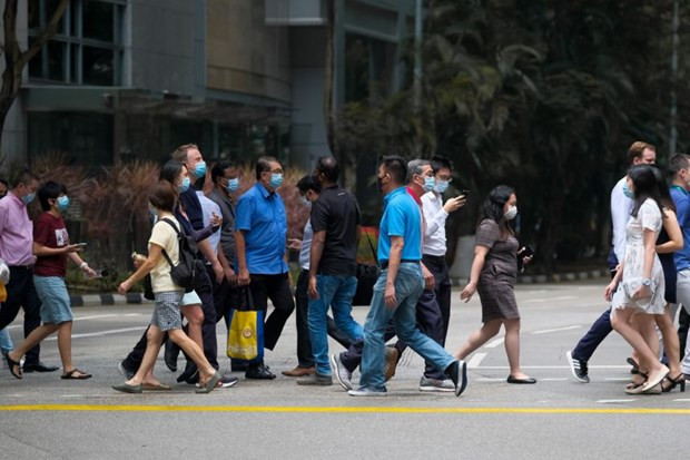 新加坡总人口连续两年减少 ảnh 1