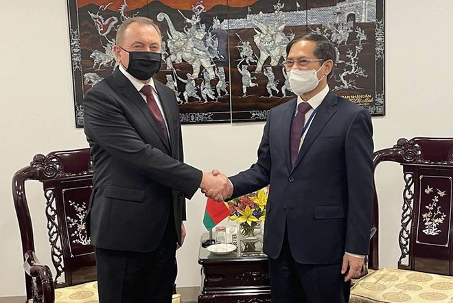 第76届联合国大会:越南外交部领导举行双边会晤并出席相关会外活动 ảnh 2 第76届联合国大会:越南外交部领导举行双边会晤并出席相关会外活动 ảnh 2