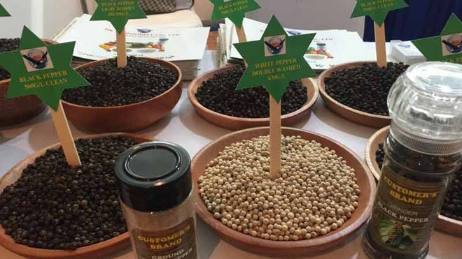 越南胡椒在世界版图上熠熠生辉 ảnh 1