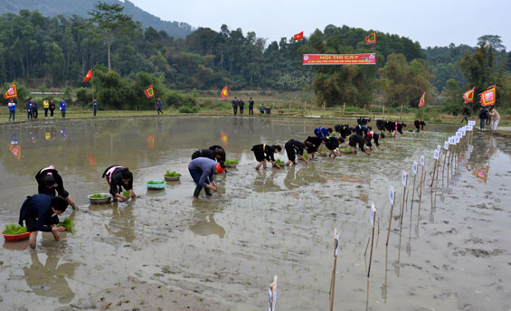 下田节—祈求风调雨顺、五谷丰登的节日 ảnh 2 下田节—祈求风调雨顺、五谷丰登的节日 ảnh 2