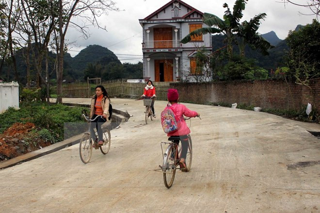 越南国家银行助推新农村建设 ảnh 1 越南国家银行助推新农村建设 ảnh 1