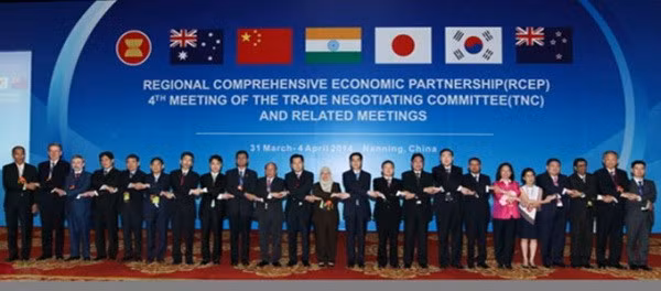 《区域全面经济伙伴关系协定》第11轮谈判在文莱举行 ảnh 1