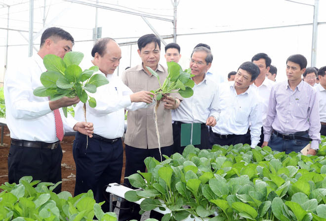 政府总理阮春福探访林同省绿色蔬菜生产模式 ảnh 1 政府总理阮春福探访林同省绿色蔬菜生产模式 ảnh 1