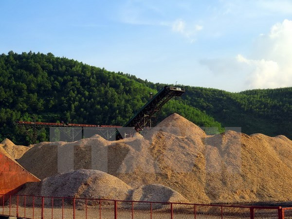 木屑出口金额大幅下降 ảnh 1