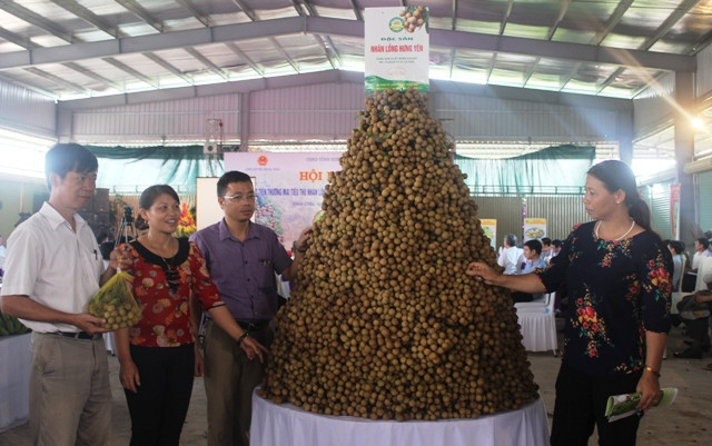 兴安省举行龙眼产品销售促进会 ảnh 1