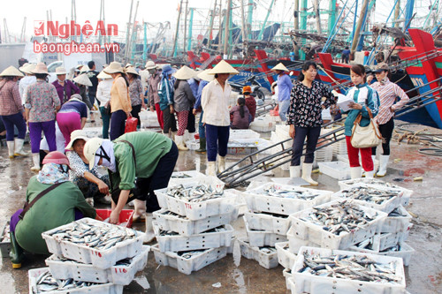 乂安省加强海洋资源保护工作 ảnh 1 乂安省加强海洋资源保护工作 ảnh 1