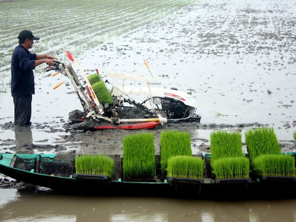 芹苴市希望与新西兰加强绿色农业合作 ảnh 1 芹苴市希望与新西兰加强绿色农业合作 ảnh 1