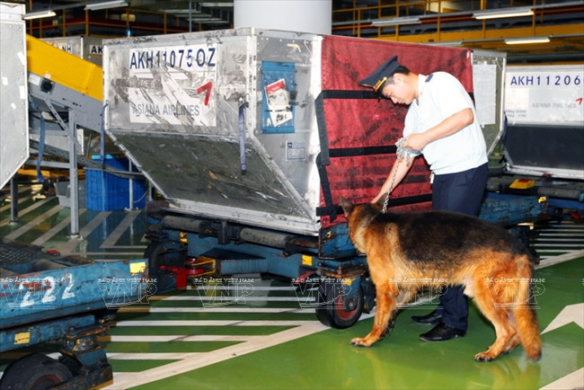 越南海关推动改革 强化融入 ảnh 4 越南海关推动改革 强化融入 ảnh 4