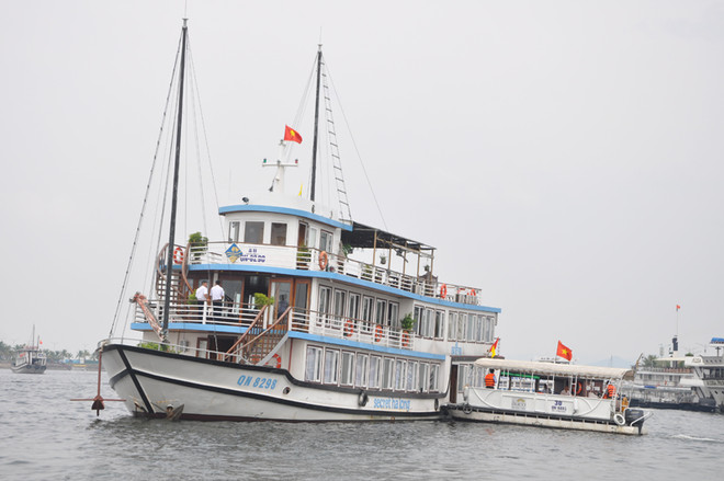 广宁省下龙湾的两艘旅游船荣获绿帆生态标志和证书 ảnh 2