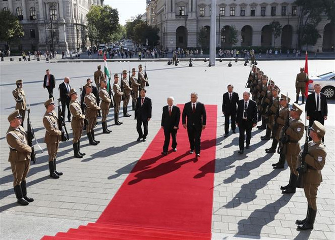 越南与匈牙利发表联合声明 建立全面伙伴关系 ảnh 2