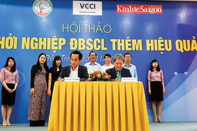 越南九龙江平原努力促进可持续创业 ảnh 2