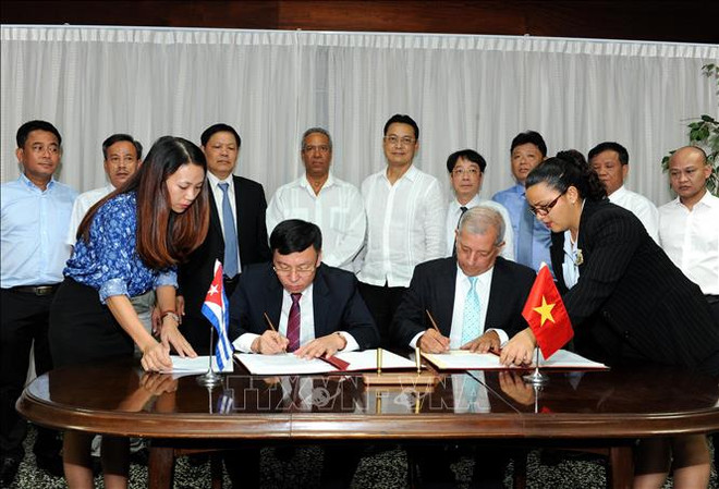 越南向古巴赠送5000吨大米 ảnh 1 越南向古巴赠送5000吨大米 ảnh 1