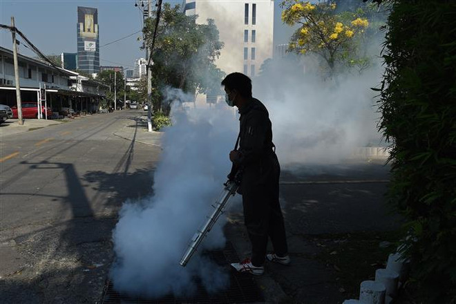 泰国首都曼谷爆发登革热疫情 ảnh 1 泰国首都曼谷爆发登革热疫情 ảnh 1