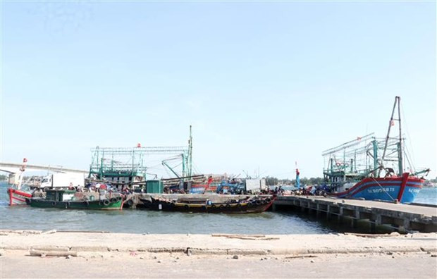 解除IUU“黄牌”警告:预计2022年第一季度欧盟委员会将赴越开展实地检查 ảnh 1 解除IUU“黄牌”警告:预计2022年第一季度欧盟委员会将赴越开展实地检查 ảnh 1