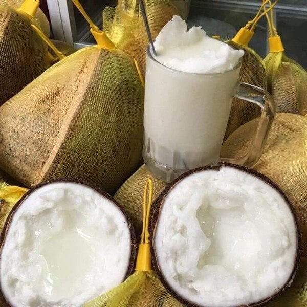 茶荣省蜡椰子首次大批销往澳大利亚 ảnh 2 茶荣省蜡椰子首次大批销往澳大利亚 ảnh 2