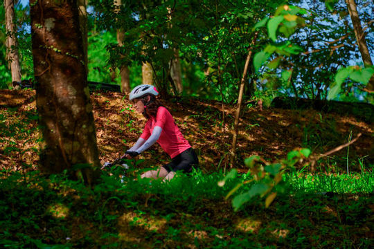 通过虚拟现实眼镜体验骑车游中国台湾 ảnh 1 通过虚拟现实眼镜体验骑车游中国台湾 ảnh 1