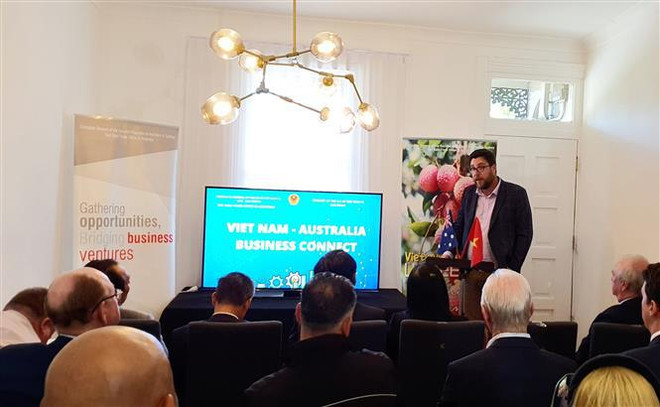 澳大利亚企业希望扩大对越南市场的投资范围 ảnh 1 澳大利亚企业希望扩大对越南市场的投资范围 ảnh 1