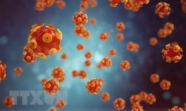 越南卫生部指导加强对不明原因急性肝炎的监测 ảnh 1