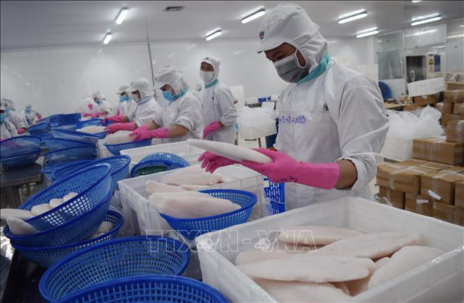 2022年前4月越南全国水产品产量约达260万吨 ảnh 1 2022年前4月越南全国水产品产量约达260万吨 ảnh 1