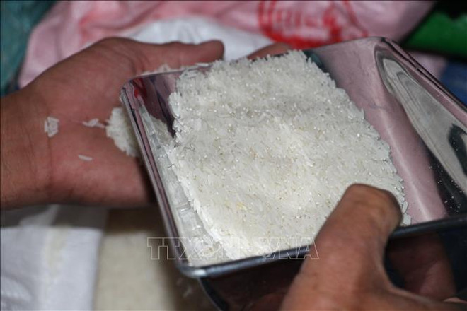 越南大米对东盟市场出口潜力巨大 ảnh 1