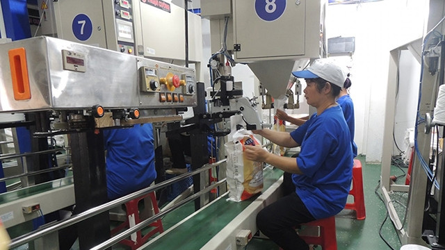 越南大米质量留下印记 ảnh 1