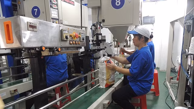 越南大米质量留下印记 ảnh 1