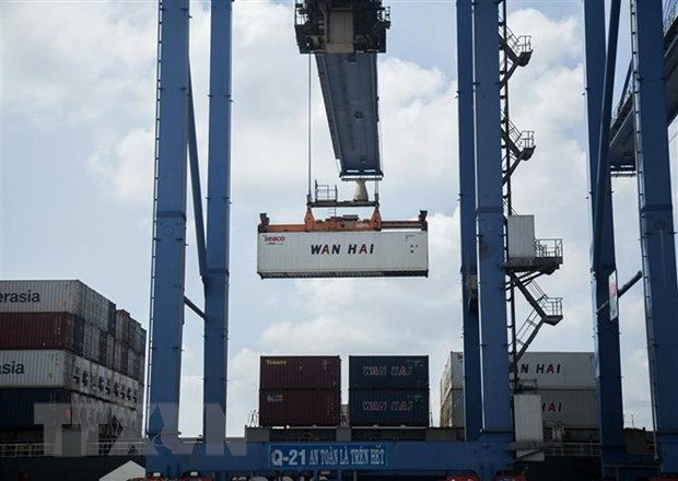 2021年越南与巴西贸易进出口额创历史新高 ảnh 1