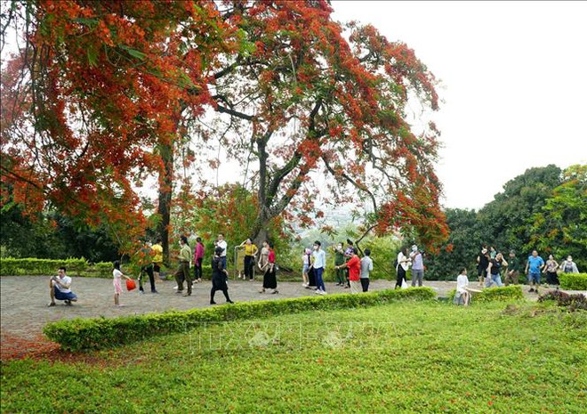 奠边历史遗迹吸引大量游客前来参观游览 ảnh 1 奠边历史遗迹吸引大量游客前来参观游览 ảnh 1
