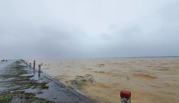 东盟呼吁采取新灾害管理方法 ảnh 1