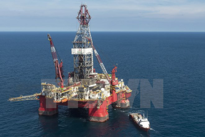 保护海洋环境:为沿海地区发展带动偏远地区发展注入动力 ảnh 3 保护海洋环境:为沿海地区发展带动偏远地区发展注入动力 ảnh 3