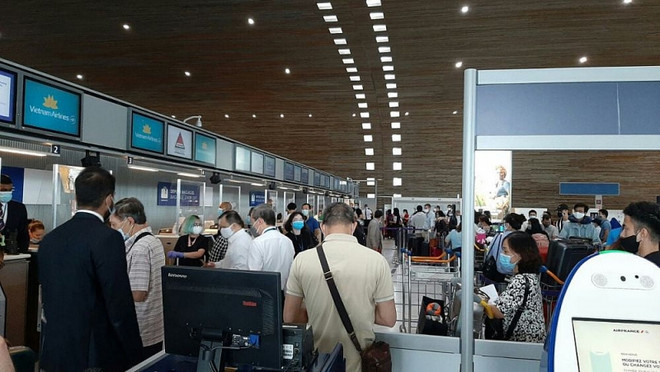 将近280名越南公民从欧洲接回国 ảnh 1 将近280名越南公民从欧洲接回国 ảnh 1