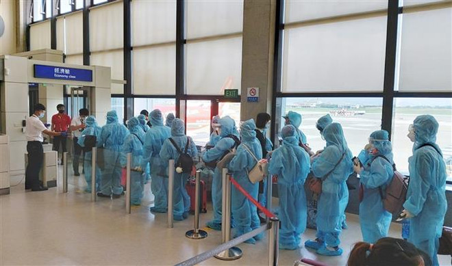 越南将在中国台湾的230名公民接回国 ảnh 1 越南将在中国台湾的230名公民接回国 ảnh 1