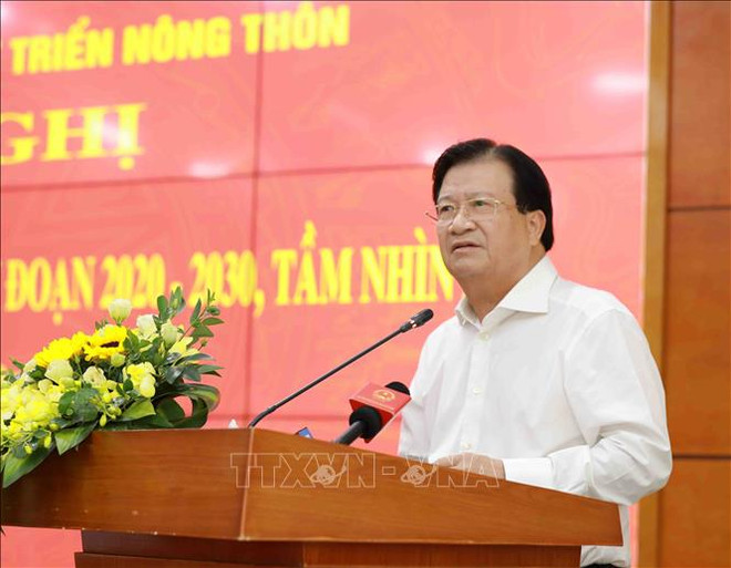 郑廷勇副总理:越南畜牧业的出口前景广阔 ảnh 1 郑廷勇副总理:越南畜牧业的出口前景广阔 ảnh 1