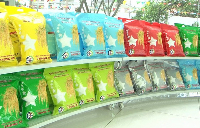 与海外越南企业合作 有效利用《越欧自贸协定》的优势 ảnh 1 与海外越南企业合作 有效利用《越欧自贸协定》的优势 ảnh 1