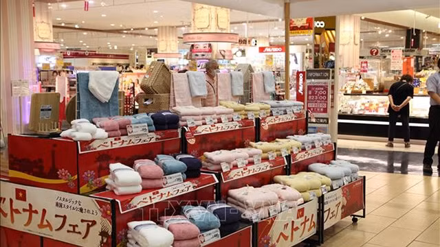 越南货展销会在日本永旺超市系统举行 ảnh 1