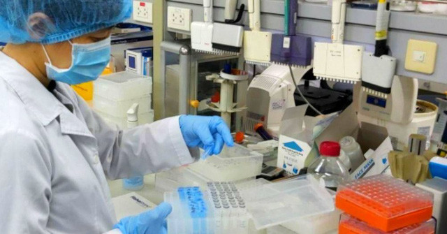 新冠肺炎疫情:为有出境需求的人员颁发新冠病毒检测阴性证明 ảnh 1 新冠肺炎疫情:为有出境需求的人员颁发新冠病毒检测阴性证明 ảnh 1