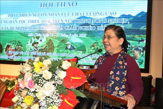 加快少数民族地区、山区优质人力资源开发 ảnh 1 加快少数民族地区、山区优质人力资源开发 ảnh 1