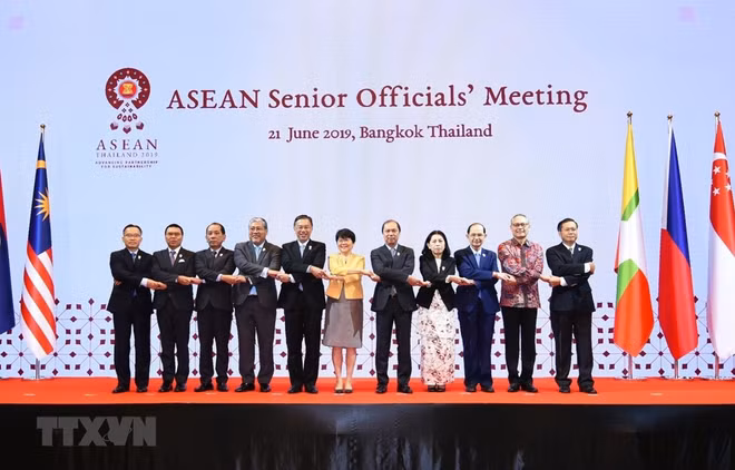 越南代表出席东盟高官会 ảnh 1