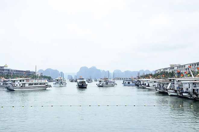 巡州国际客运港在假期期间迎接逾5万名游客（组图） ảnh 5