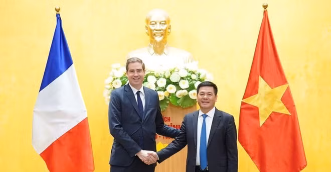 越南与法国贸易发展前景广阔 ảnh 1
