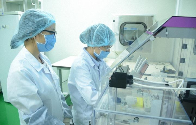 国际失踪人员委员会协助越南进行烈士遗骸鉴定 ảnh 1